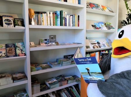 Lou à la bibliothèque du camping Bel Air de Pornichet 